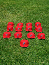 Load image into Gallery viewer, PROISH X NEW ERA ( red )