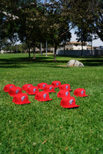 Load image into Gallery viewer, PROISH X NEW ERA ( red )